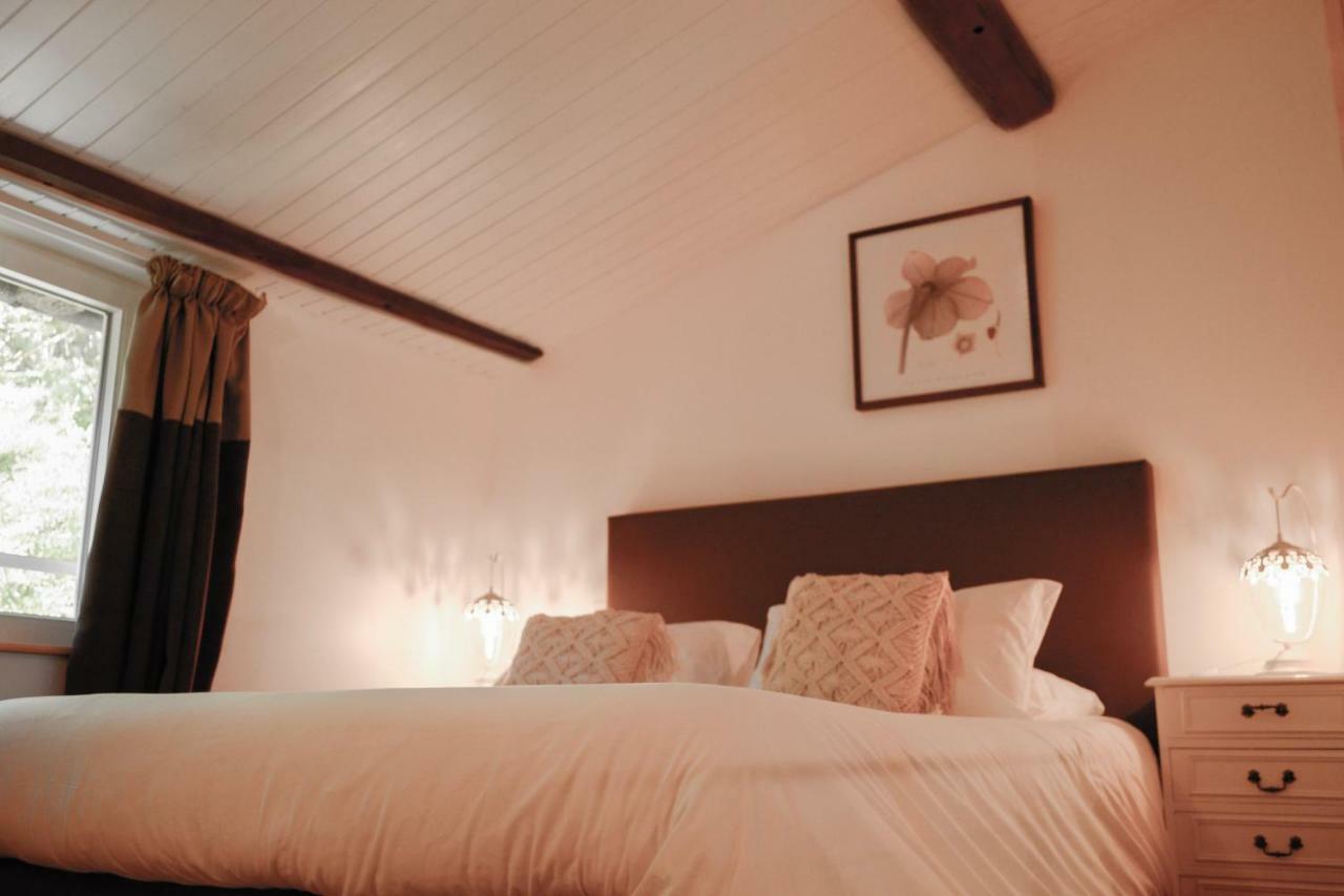 Chambres D'Hotes Domaine Du Hameau Baylesse Saint-Jean-d'Aigues-Vives Exteriör bild